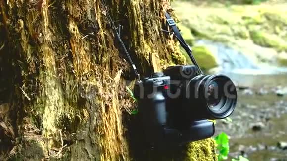 瀑布附近原木上的摄像头视频的预览图
