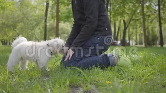 英俊的金发男孩在公园里和他毛茸茸的狗玩站在膝盖上的草地上孩子举起他的视频的预览图