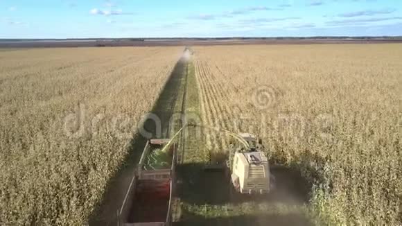 机械顺场收割青贮玉米视频的预览图
