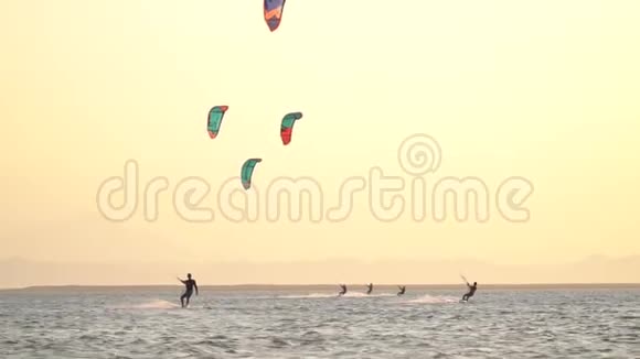 在埃及一群风筝爱好者正乘风破浪视频的预览图