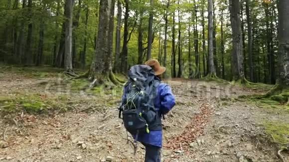 女人去森林远足视频的预览图