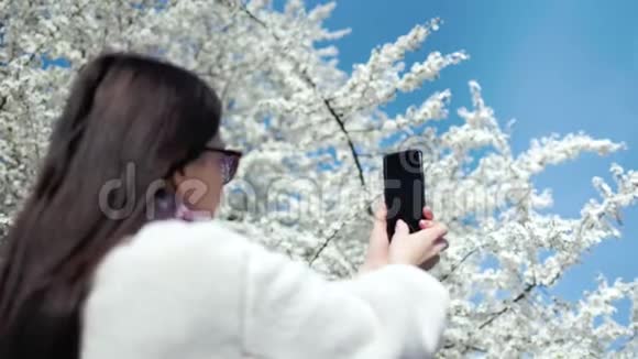 时尚女性在公园散步用智能手机拍照美丽盛开的樱花树视频的预览图