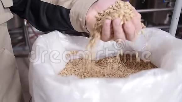 啤酒厂的概念手中有淡粉浆麦芽颗粒啤酒的成分视频的预览图
