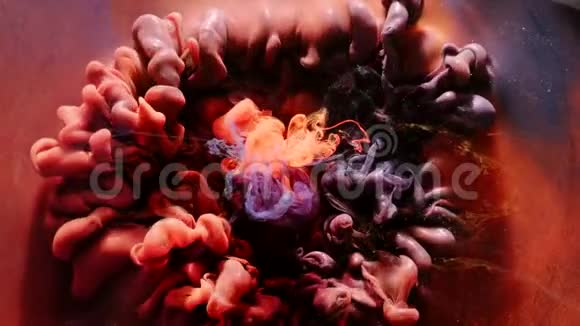 油漆运动神秘炼金术暗紫雾视频的预览图