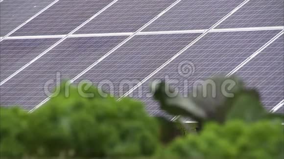 农场的太阳能电池板视频的预览图