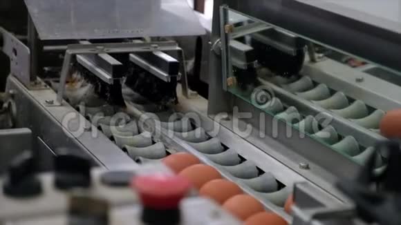 蛋品生产线上带蛋的分级加工视频的预览图