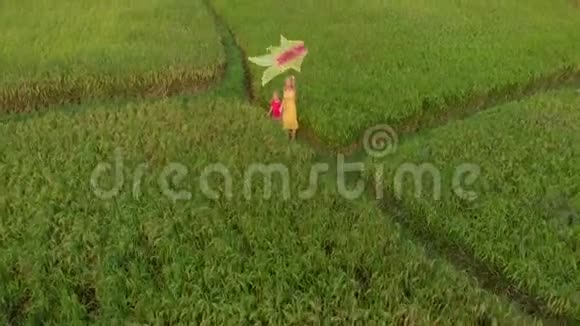 一位年轻女子和她的小儿子在一片美丽的田野上玩黄色风筝的航拍镜头视频的预览图