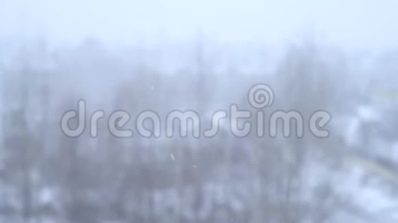 在恶劣天气的背景下冬季飞雪特写视频的预览图