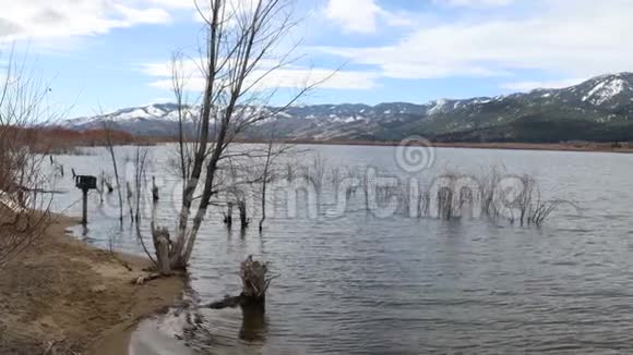 内华达州瓦肖湖的照片视频的预览图