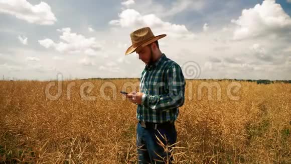 农民在智能手机上发短信进入卡诺拉种植园视频的预览图