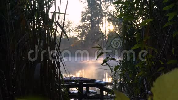 河岸上的日出带木鱼码头芦苇和水上烟雾的景观视频的预览图