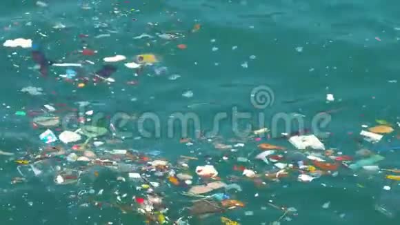 海洋污染问题视频的预览图