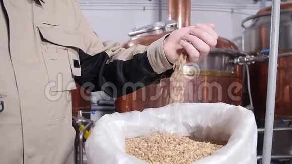 啤酒厂的概念手中有淡粉浆麦芽颗粒啤酒的成分视频的预览图