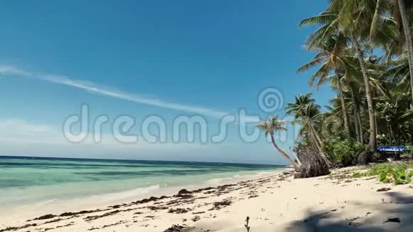 热带海滩景色荒凉宁静的海滩有开阔的大海白沙和树木视频的预览图
