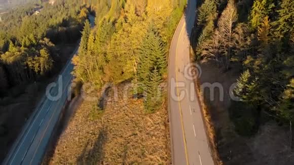 空中拍摄的画面是日出时空山道在树木之间行进4K24FPS视频的预览图
