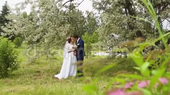 新婚夫妇在一棵开花树的树枝下视频的预览图