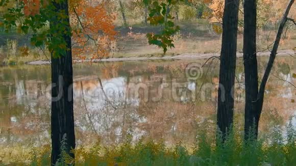 在秋天公园的湖边视频的预览图