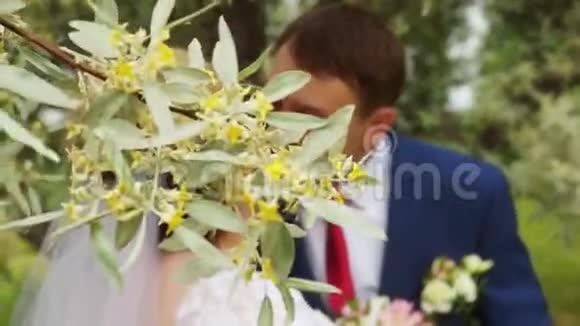 新婚夫妇在一棵开花的树枝后面亲吻视频的预览图