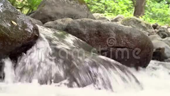 神秘的山地急流神奇的风景河流在森林的中央循环连续视频视频的预览图