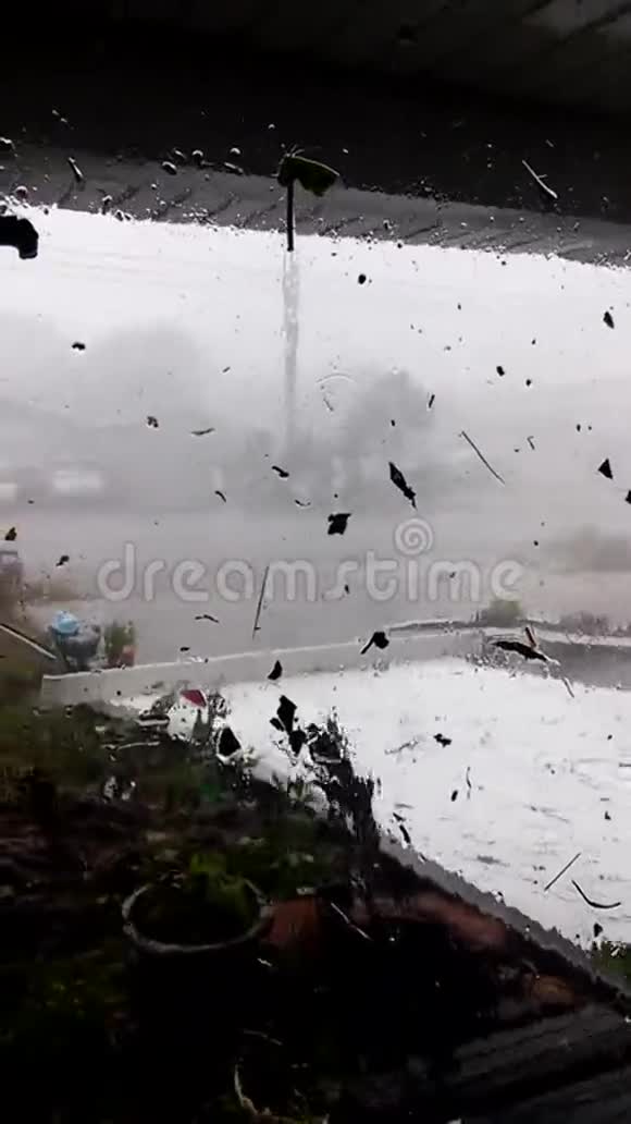 巴拿马城海滩飓风迈克尔之家狂风暴雨视频的预览图