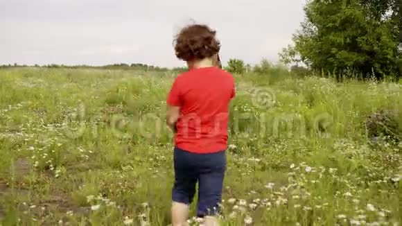 孩子们男孩和女孩在暑假一起在草地上散步视频的预览图