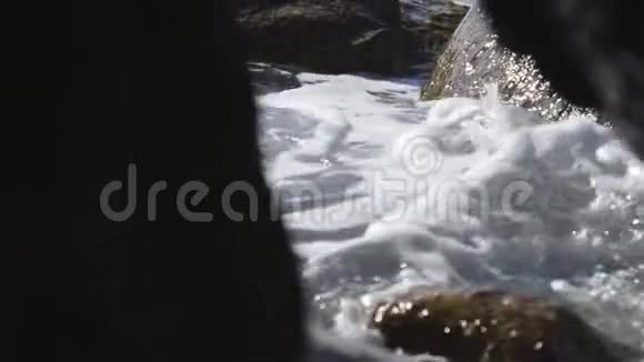从智利海边缘的一个洞穴里带走的视频的预览图