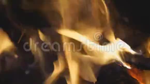 篝火在夜间燃烧视频的预览图