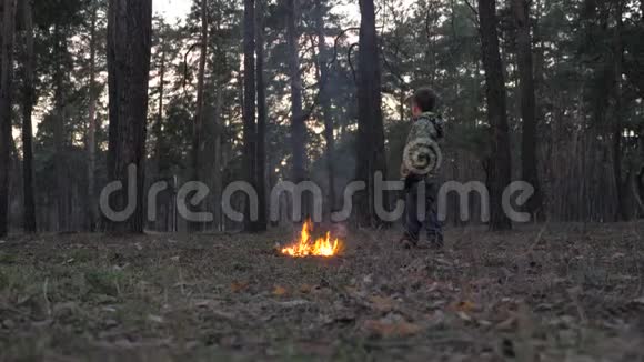 森林里有火公园里的纵火犯向自然植物动物开火站在旁边看着的男孩视频的预览图