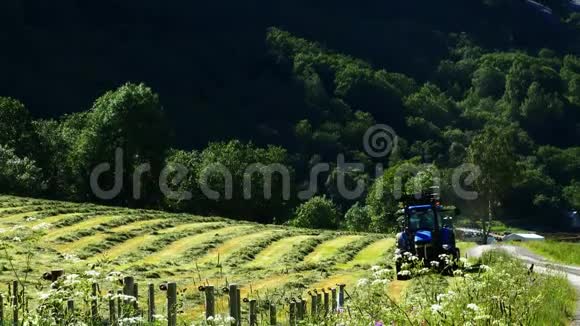 农夫用蓝色拖拉机在一片田野上打干草一排排割草的绿草朝镜头走来视频的预览图