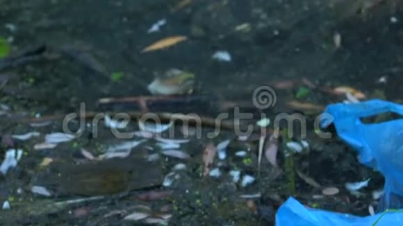 塑料一次性餐具放置在垃圾填埋场危险土壤污染危害视频的预览图