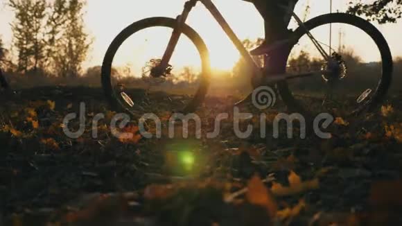 日落时分人们骑着自行车穿过秋天的森林运动的家伙在户外骑自行车明亮的阳光照亮视频的预览图