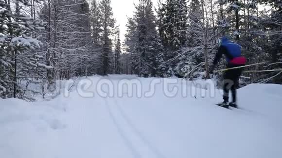 越野滑雪男子与滑雪板在雪地冬季森林滑雪道芬兰叶拉斯视频的预览图