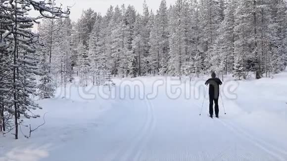 越野滑雪男子与滑雪板在雪地冬季森林滑雪道芬兰叶拉斯视频的预览图