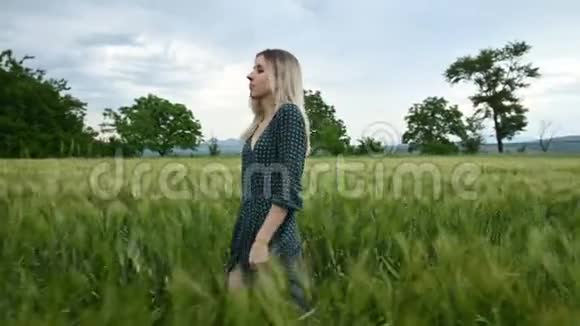 低角度侧视一个年轻的金发女孩穿着宽松的绿色连衣裙悠闲地沿着一片绿色的麦田散步这就是视频的预览图