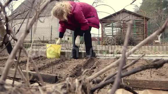 一个女农民在自己的花园里工作视频的预览图