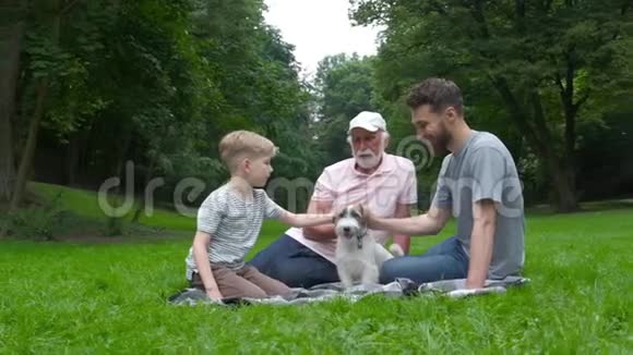 祖父父子和两只狗杰克鲁塞尔猎犬躺在夏天公园的绿草上家庭视频的预览图