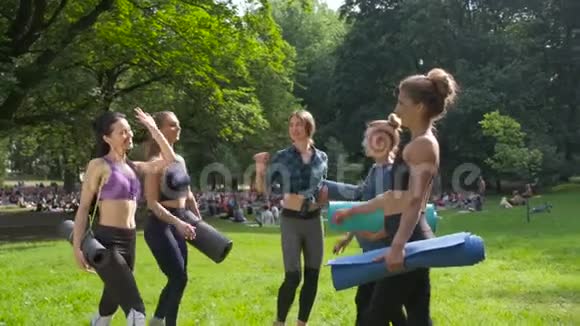 一群女朋友在户外晨训后把手放在公园里积极的生活方式视频的预览图