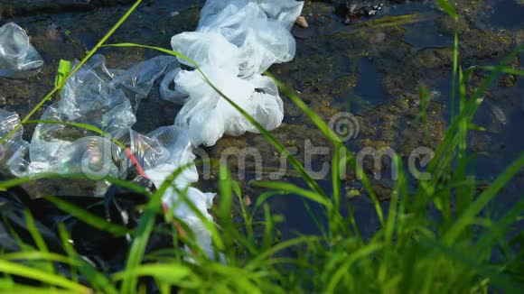 手拿样品在试管中带有生物危险标志来自污染湖的水视频的预览图