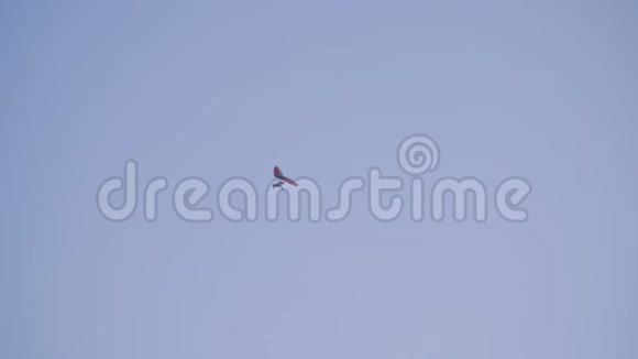 高高的蓝天上悬挂着滑翔机视频的预览图