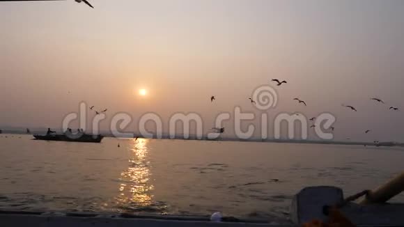 海鸥在日落时飞翔剪影视频的预览图