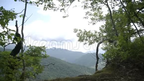 从山的边缘的森林透过树枝到夏天有绿色斜坡的山视频的预览图