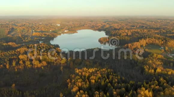 鸟瞰秋天森林和一个小湖视频的预览图