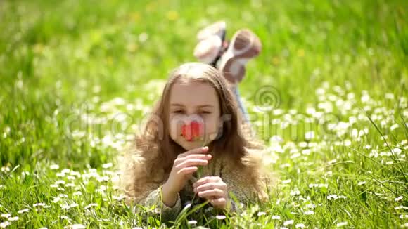 女孩躺在草地上草地在背景上郁金香香的概念笑脸上的女孩捧着红色的郁金香花视频的预览图