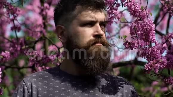 年轻英俊的胡须男带着情感的脸靠近灌木丁香花特写情绪和面部表情春天视频的预览图