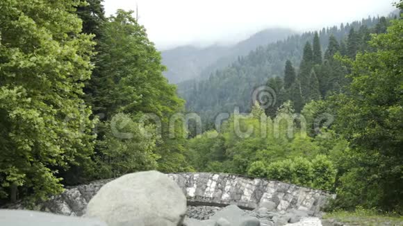 石桥越过一条山河中间是山地森林有树木神奇的森林风光狂野生动视频的预览图