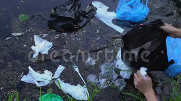 志愿者清理森林沼泽收集垃圾袋装环境问题视频的预览图