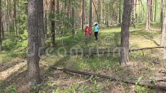 祖母和孙女去森林里找蘑菇视频的预览图