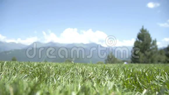 女人的双腿在绿草上行走光着脚踏着青葱蓝天云和山视频的预览图