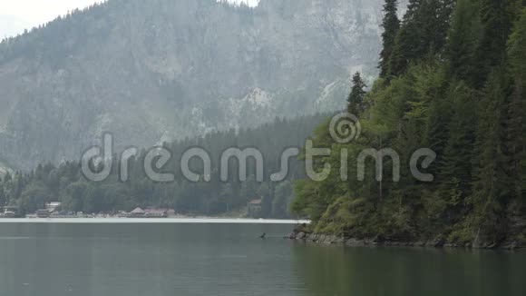 有绿色森林的山湖水中的倒影山林湖美丽的夏季景观视频的预览图
