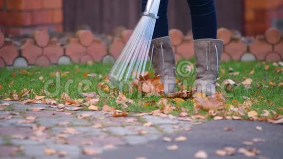 女孩清理草坪上的落叶视频的预览图
